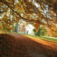 Badenweiler im Herbst